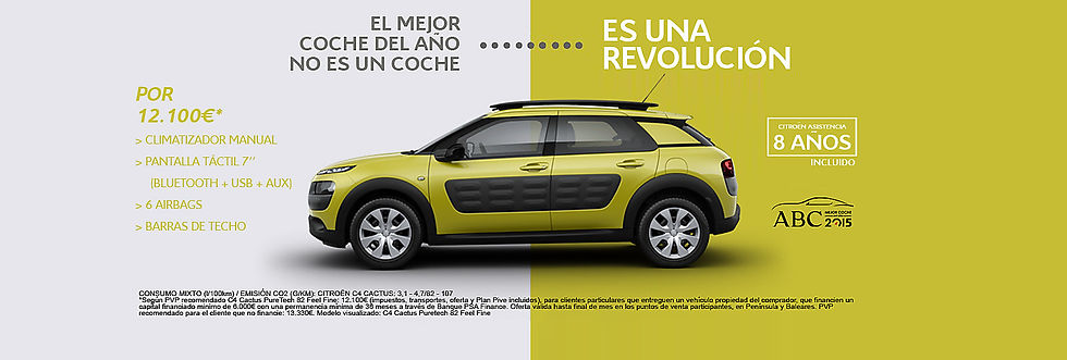 cactus-amarillo-asistencia-v1.194244.86.jpg