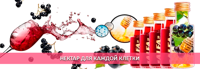 slider2-dly-kletki