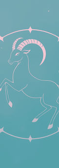 Capricorn
