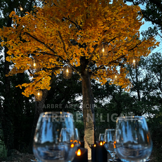 Arbre artificiel Gingko Arbrenlight
location vente sur mesure