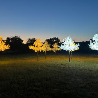 Arbre artificiel Led lumineux Arbrenlight
location vente sur mesure