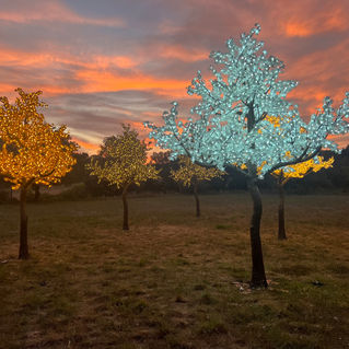 Arbre artificiel Led lumineux Arbrenlight
location vente sur mesure
