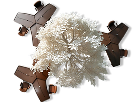 Arbre n light (7).png