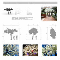 LOCATION EVENTS (3).jpg