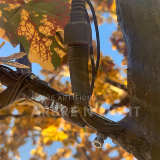 Arbre artificiel Led lumineux Arbrenlight
location vente sur mesure