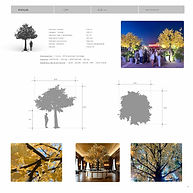 LOCATION EVENTS (2).jpg