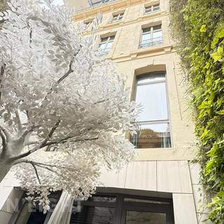 Arbre artificiel Ficus blanc Arbrenlight