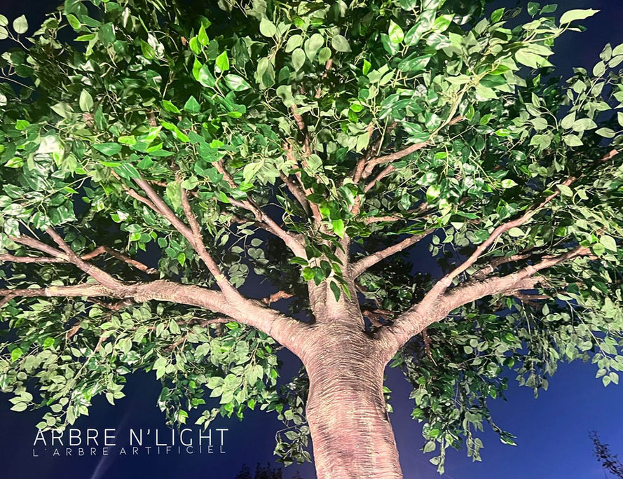 un ficus vert de 4,5m arbre artificiel pour la décoration d'un hôtel à Rennes