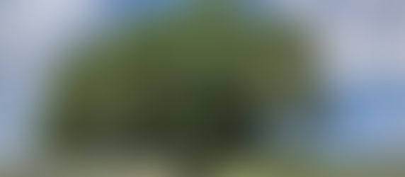 photo by Axel Gosseries