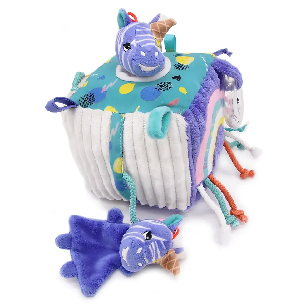 Miniature : Cube d'activités kiprokos le zébre" les déglingos"