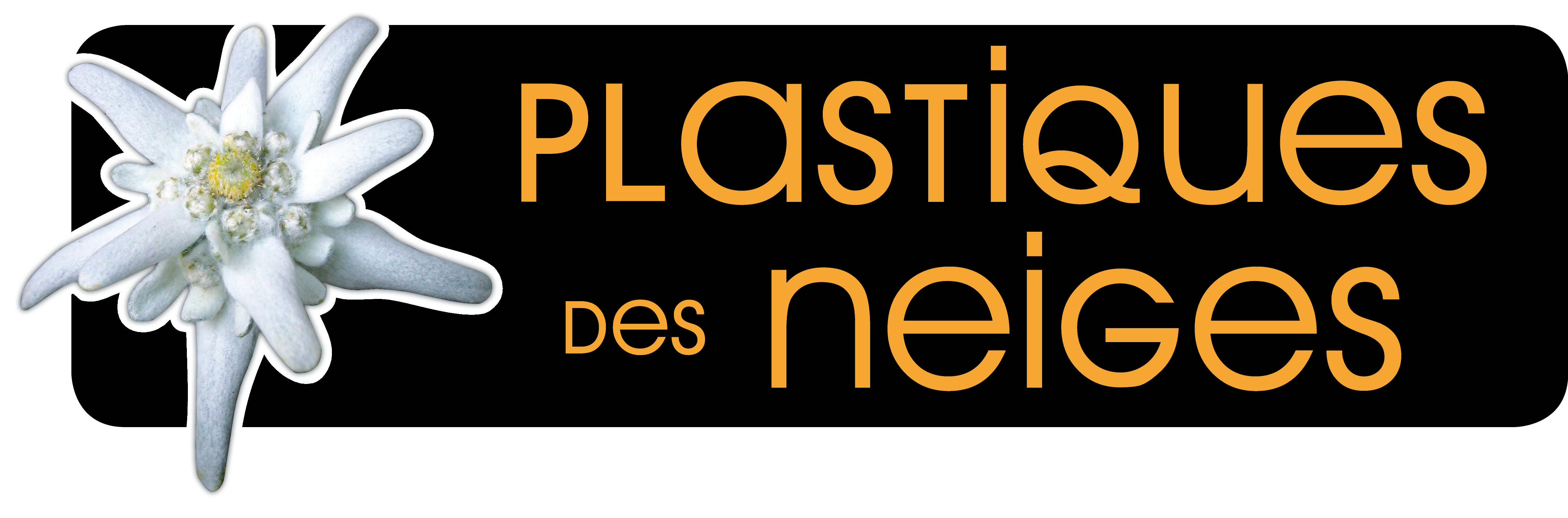 Plastique-des-Neiges-logo_PDN-HD_1.png