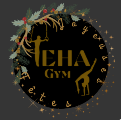 Toute l'équipe vous souhaite de joyeuses fêtes de fin d'année