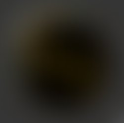 Toute l'équipe vous souhaite de joyeuses fêtes de fin d'année