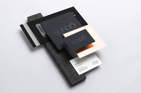 Aeve Agency Branding - Sundo Brand Identity
