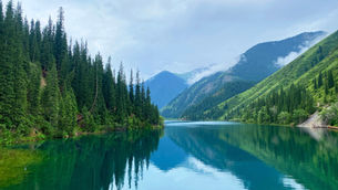 The Impact of ESG Trends on the Data Centre Market