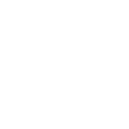 layer (1).png