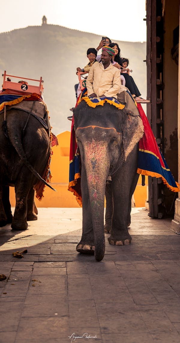 10-Day India Tour Packages: Golden Triangle