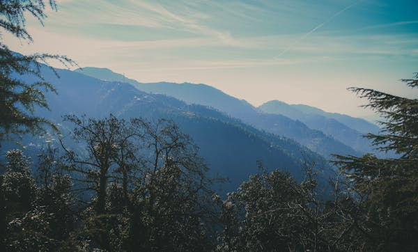 Imej kecil: 6 Days & 5 Nights Amritsar, Dalhousie, and Dharamshala