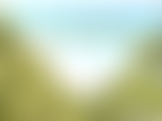 兩代的領袖遺言