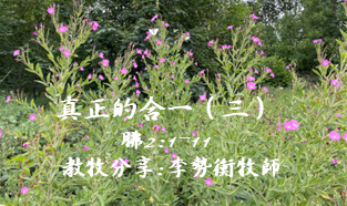 真正的合一(三)