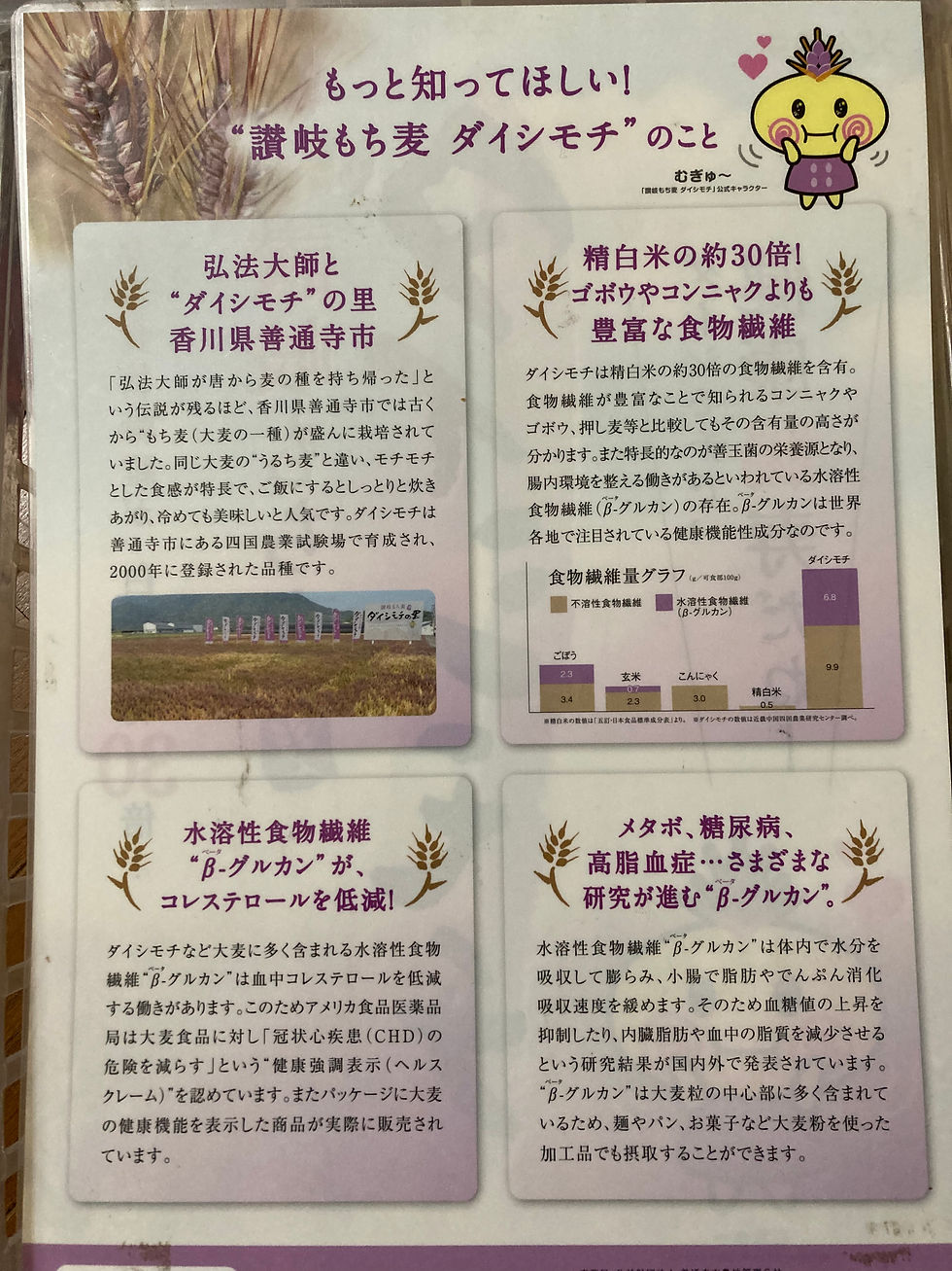 サムネイル： ダイシモチ麦バウムクーヘン12個