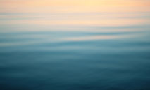Abstract Horizon