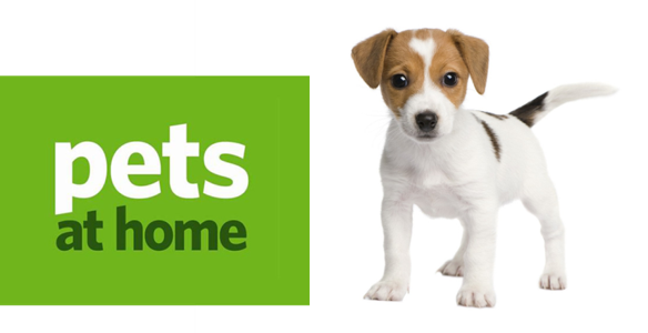 pets at home puppy
