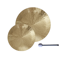 Lotus GongWave Gong (1).png