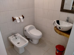 Bathroom no 1 (One Bedroom)