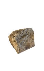 poly-snapshot-37_edited_edited.png