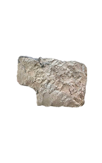 poly-snapshot-32_edited_edited.png