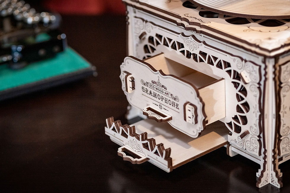 Miniatura: Gramophone Construction Kit