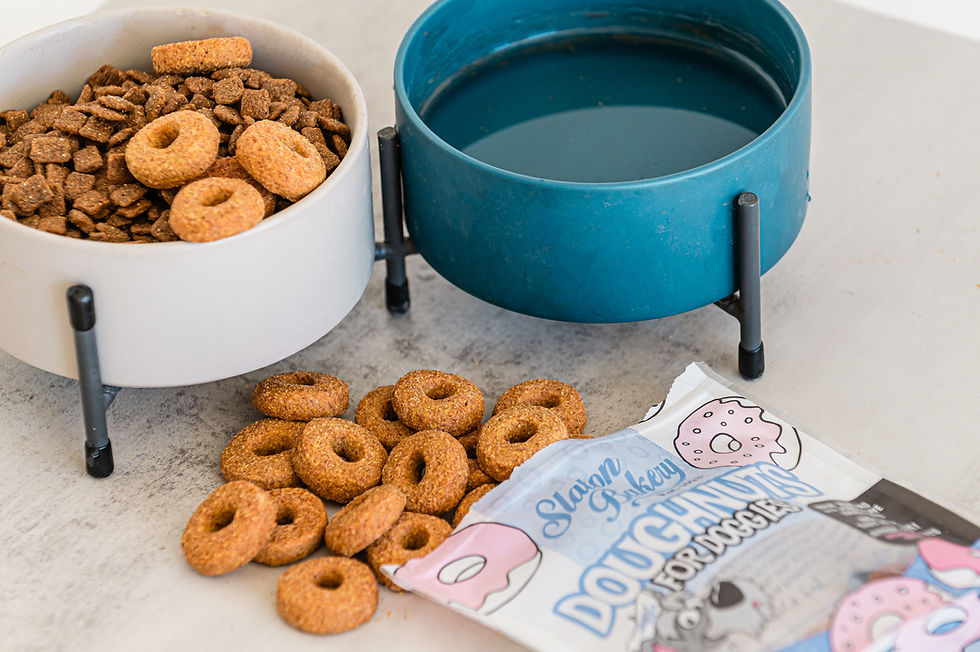 Thumbnail: Doughnuts for Doggies