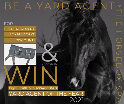Yard Agent Ad 2 (4).png
