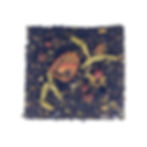 Fruits rouges - Thé noir