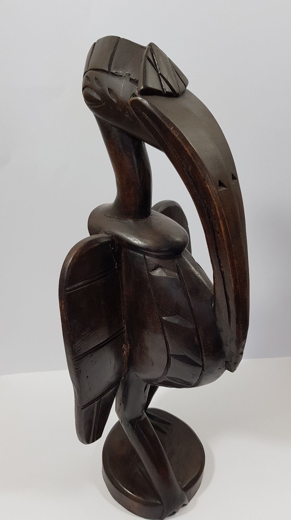 Large Hornbill Ivory Coast