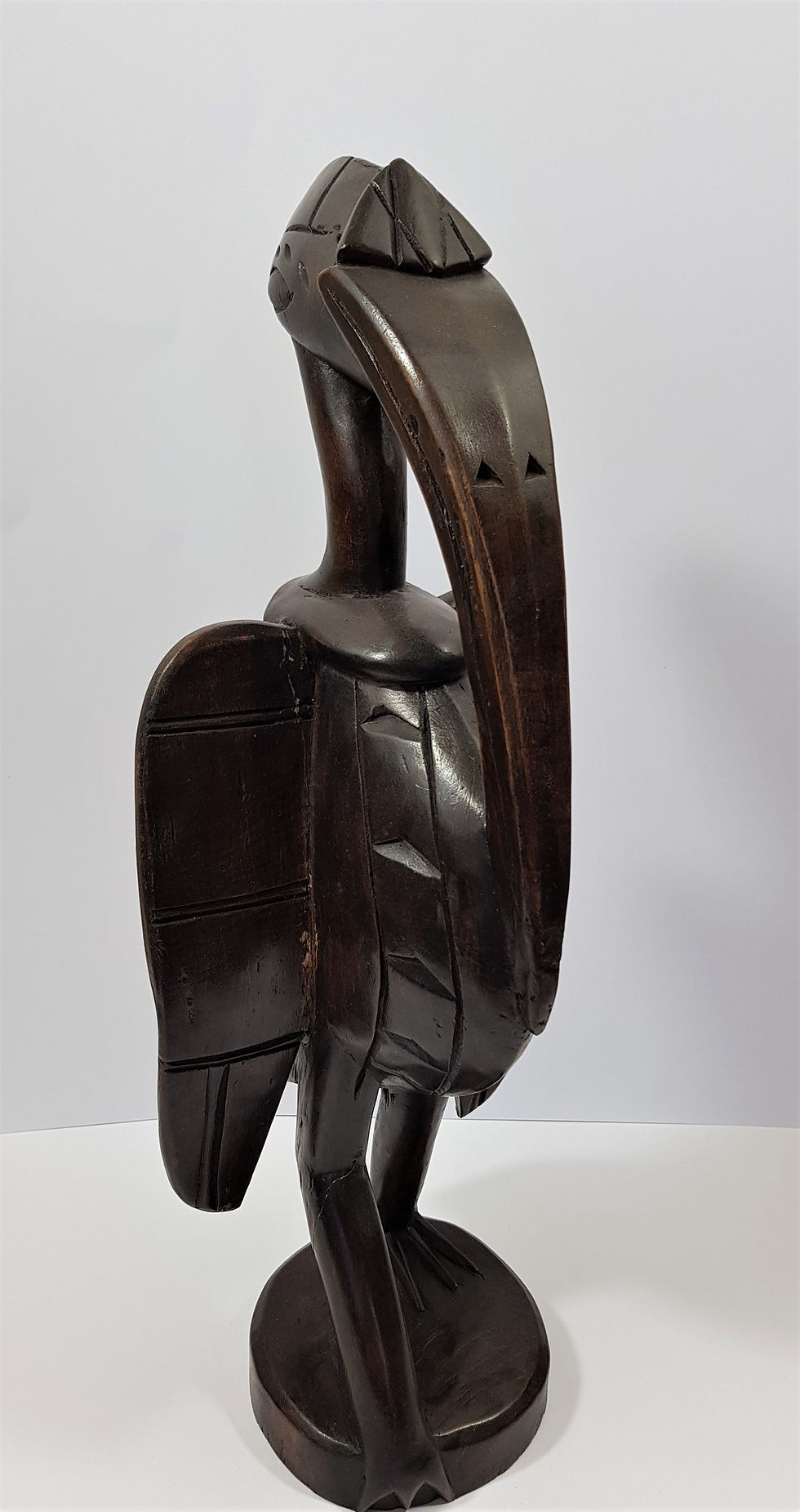 Thumbnail: Large Hornbill Ivory Coast