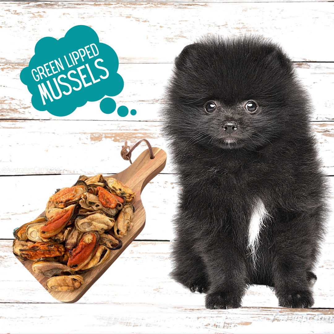 Dehydrated Green Lipped Mussels