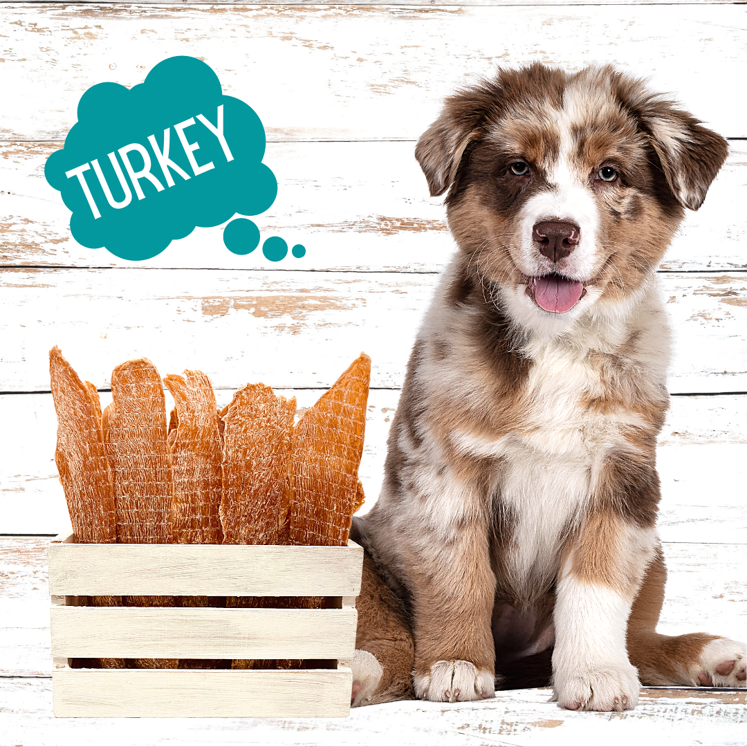 Free Range Turkey Jerky Bites