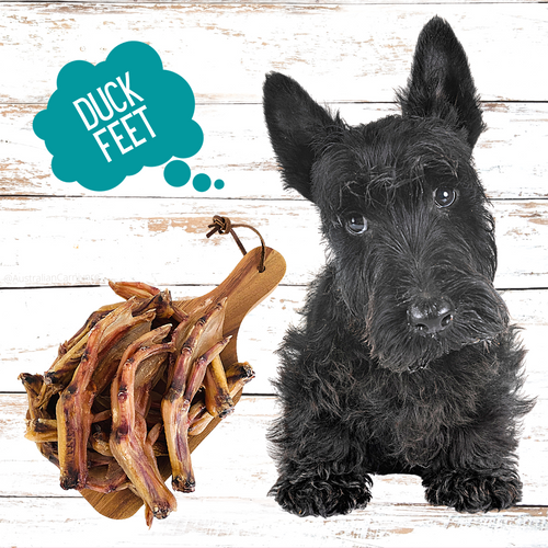 Yum Yum's Dehydrated Duck Feet Dog Chews By Australian Carnivore