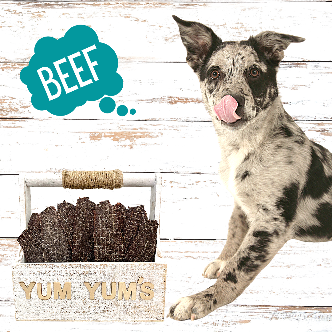 Premium Grass Fed Beef Jerky