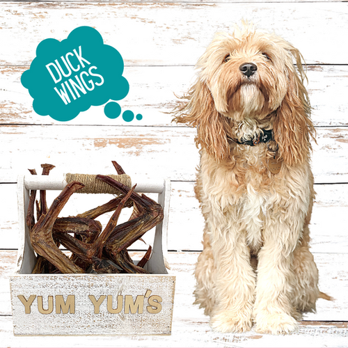 Yum Yum's Dehydrated Duck Wings Dog Chews By Australian Carnivore