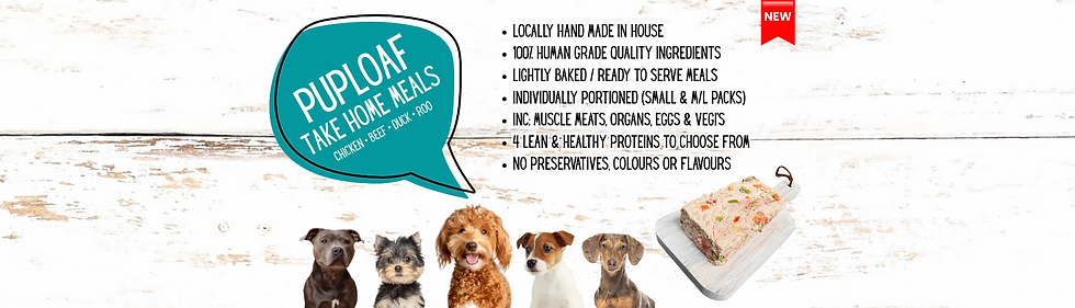 australian-carnivore-puploaf-meals (1920x550px).png