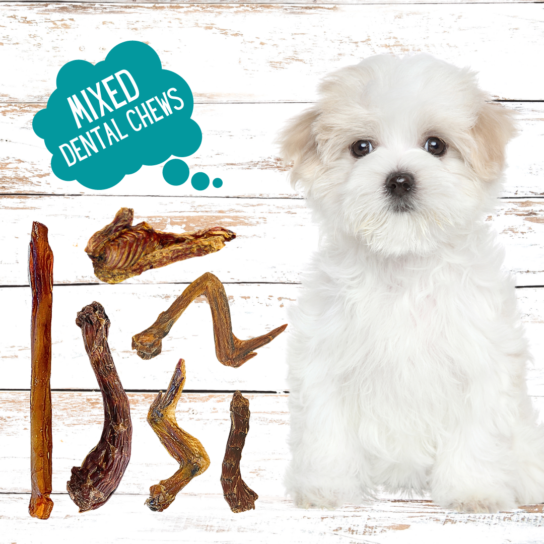 Bulk: Mixed Dental Chews (S-M Dogs) 48Pk