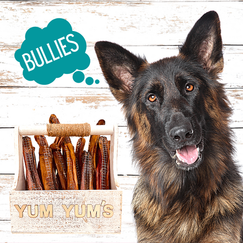 Yum Yum's Dehydrated Bully Sticks Dog Chews (Cattle) By Australian