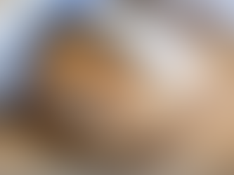 Ekmek Tutkunlarının Vazgeçilmezi: Ekşi Mayalı Ekmekler