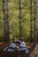 TENNESSEE ADVENTURES