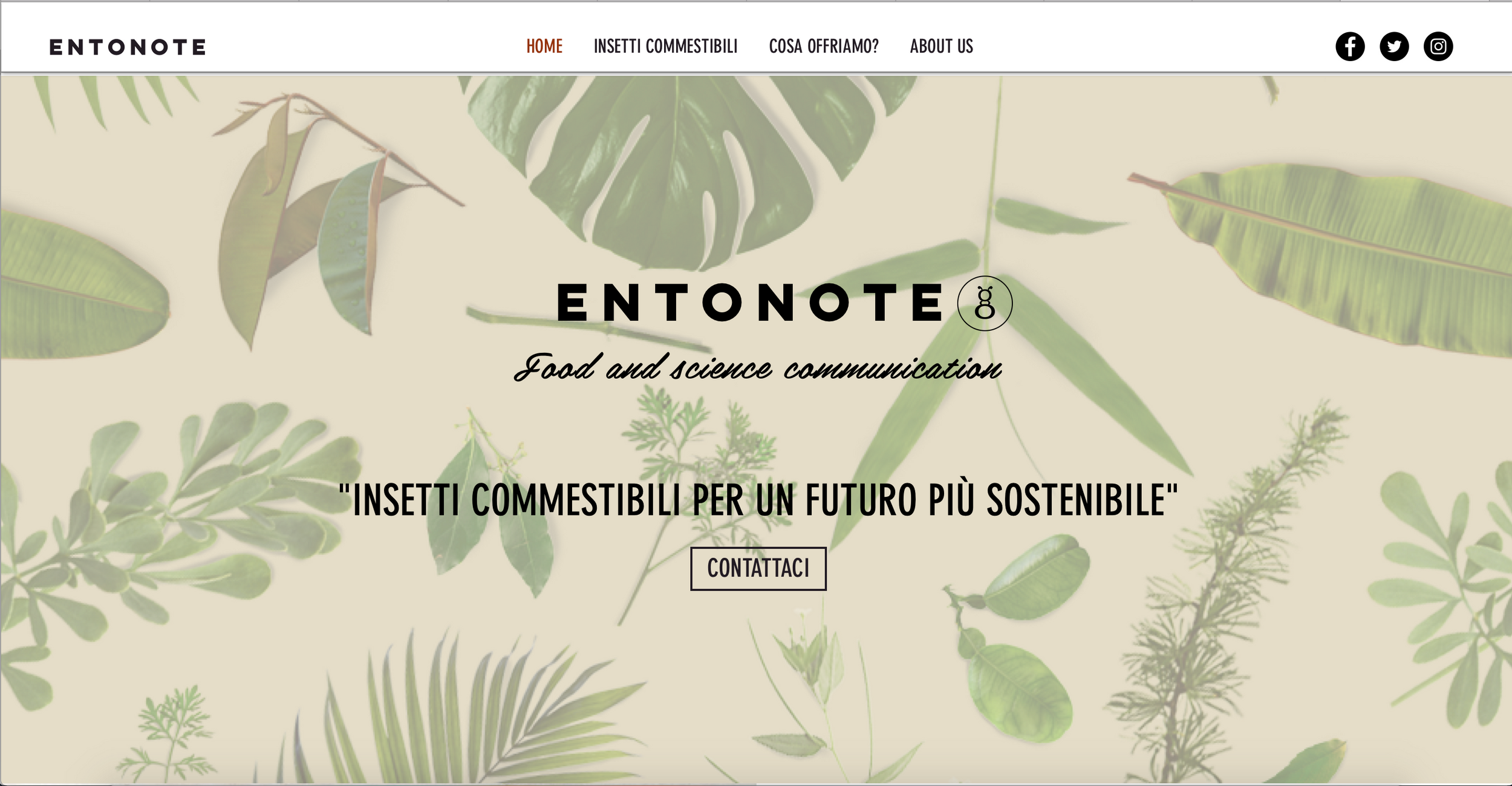 Insetti commestibili: proteine di un futuro non troppo lontano Insetti commestibili: proteine di un futuro non troppo lontano