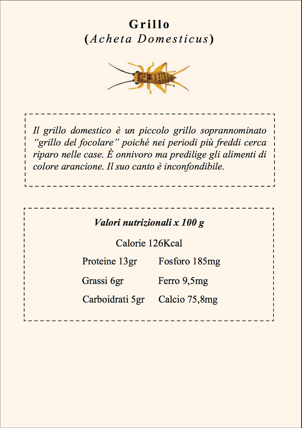 Grillo