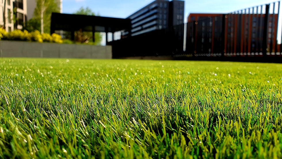 Easigrass artificial grass